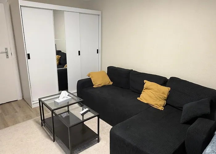 Frankfurt 1 Room Apartment